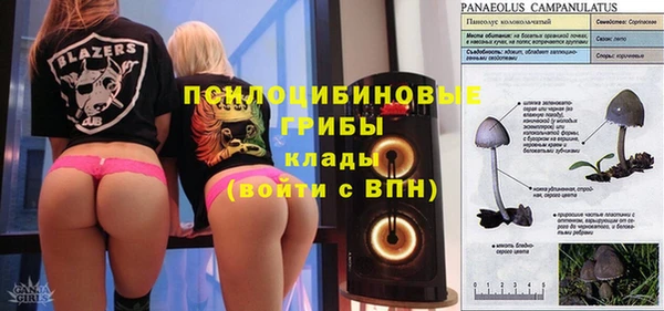 мдпв Алзамай
